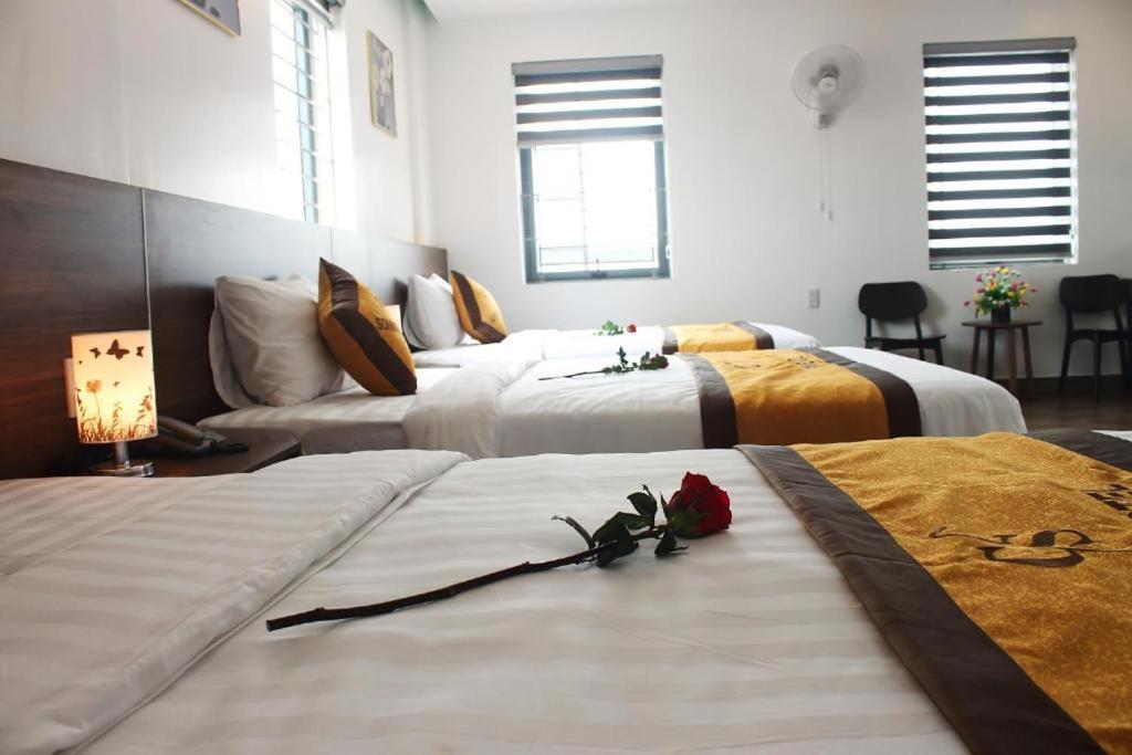 Sonne Hotel Quang Binh ドンホイ エクステリア 写真
